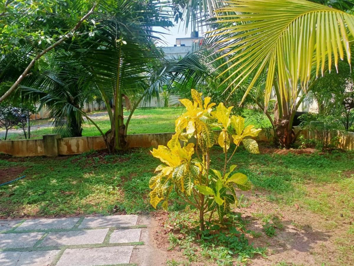 Sinai Homestay Alappuzha Exterior photo